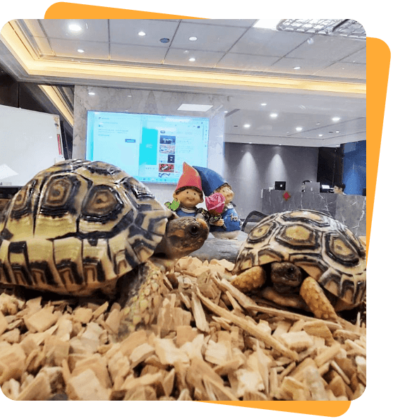 透過數據分析消費者的消費習慣與需求,清楚看見消費者的輪廓,進而規劃行銷策略與活動,能夠降低行銷成本、節省廣告預算,且更有機率促成購買。